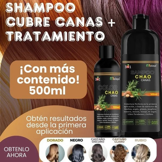 Shampoo Chao Canas + Tratamiento